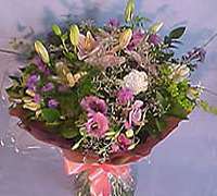 Envio y venta de flores ,rosas, plantas,arreglos florales ,regalos y desayunos a domicilio con delivery gratis en la Ciudad Autonoma de Buenos Aires y con costo de env�o en localidades del Gran Buenos Aires asi como delivery de flores y plantas a trav�s de florerias asociadas en todas las provincias de la Argentina, Buenos Aires, la Pampa, Tucuman, La Rioja, R�o Negro, Entre Rios, Corrientes, Misiones, Neuquen, Chubut, Tierra del Fuego, Santa Cruz, San Luis, Mendoza, Cordoba, Jujuy, Formosa, Santiago del Estero, Salta, Chaco, Catamarca ,San Juan, y ademas realizamos el delivery de flores ,coronas,palmas , plantas y regalos a todas las ciudades de Argentina, Mar del Plata, C�rdoba, Buenos Aires, con cargo en Santa Rosa, La Plata, Bella Vista, Neuquen, Pilar, Paran�, Posadas, Resistencia, Cipolleti y mas de 300 ciudades y localidades en todo el territorio de nuestro pa�s, asi como tambien tenemos la posibilidad de enviar flores a casi todo el mundo en cuestion de horas